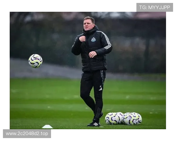 纽卡斯尔关注梅努 埃迪·豪非常欣赏他的中场能力